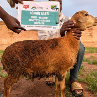 İsmet Bey ve Ailesi Adına Tanzanya’da 5 Kurban Kesimi